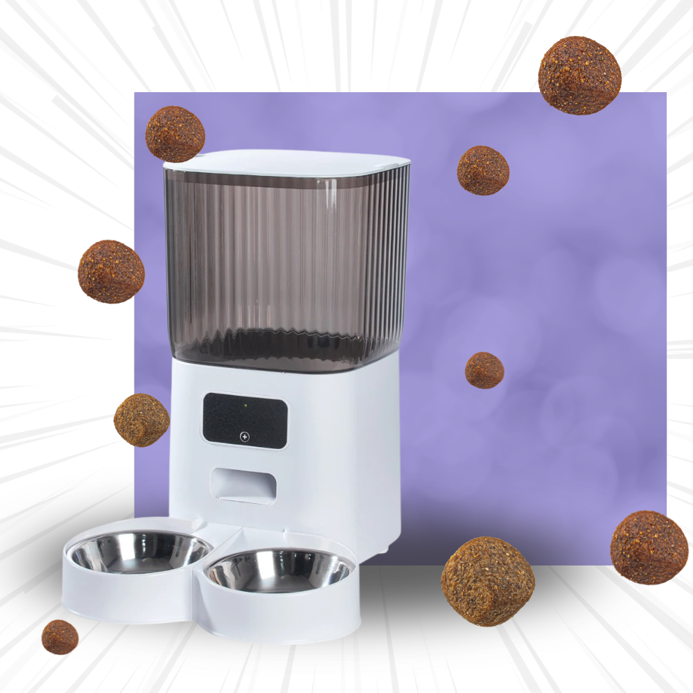 Automatic dog feeder with schedule timer